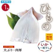 いか塩一夜干し＜ゲソなし＞(１枚)