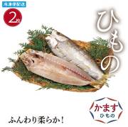 ひもの かます干物 ２枚 国内産 開き