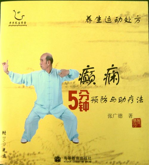 【テキスト】癲病　てんびょう×10　太極拳　太極拳用品　太極拳グッズ　武術　カンフー　DVD　VCD