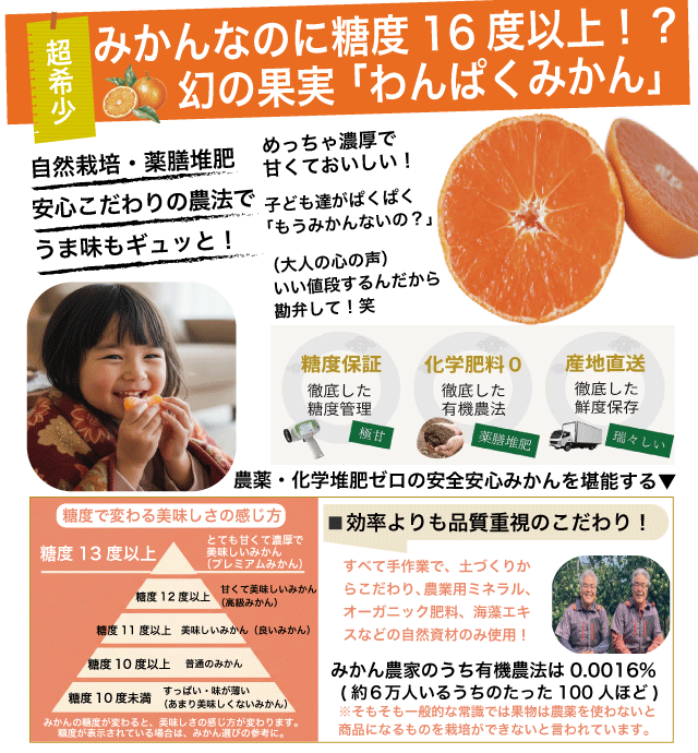 【最低糖度1４度以上保証】わんぱくみかん1袋