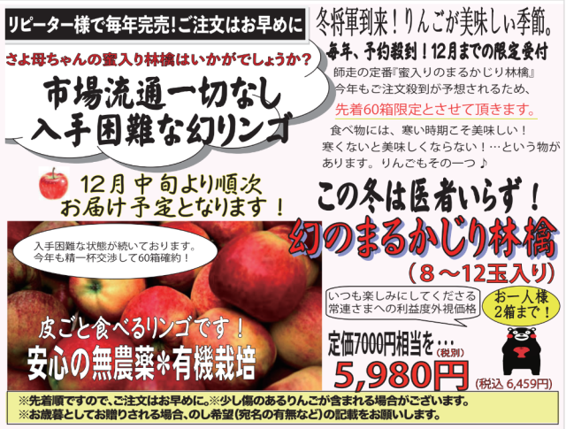 【有機栽培】幻のまるかじり林檎(8玉～12玉入り)※サイズによって変動します