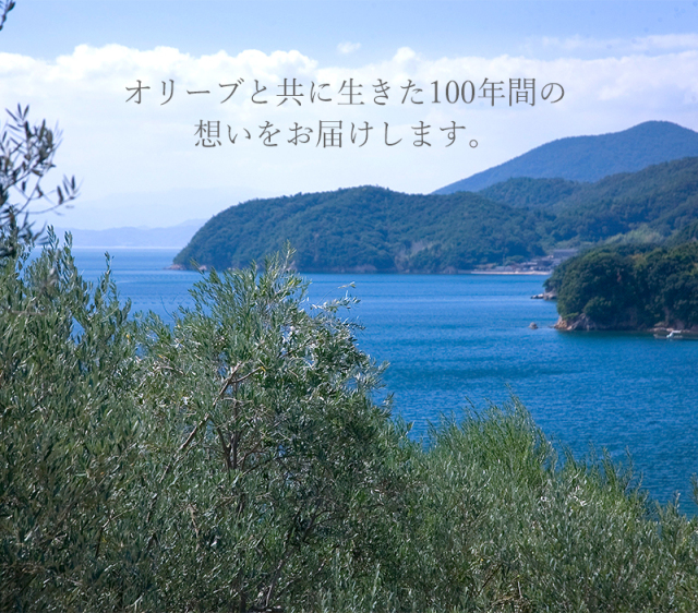 100年オイル せとのめぐみ 小豆島産100% エキストラ バージンオリーブオイル