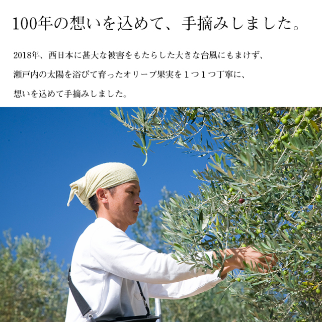 【限定350本】100年オイル せとのめぐみ 小豆島産100% エキストラ バージンオリーブオイル