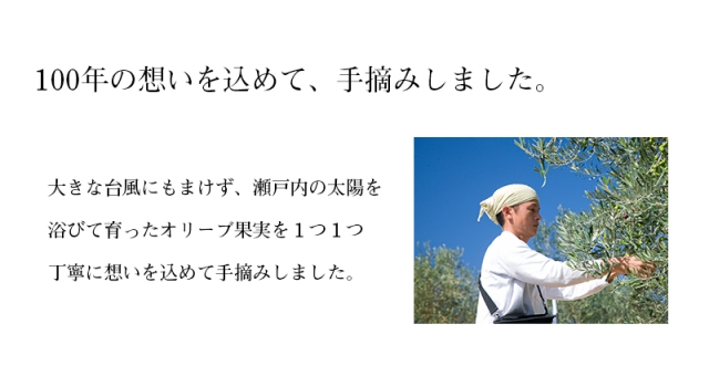 100年オイル せとのめぐみ 小豆島産100% エキストラ バージンオリーブオイル 2020年度