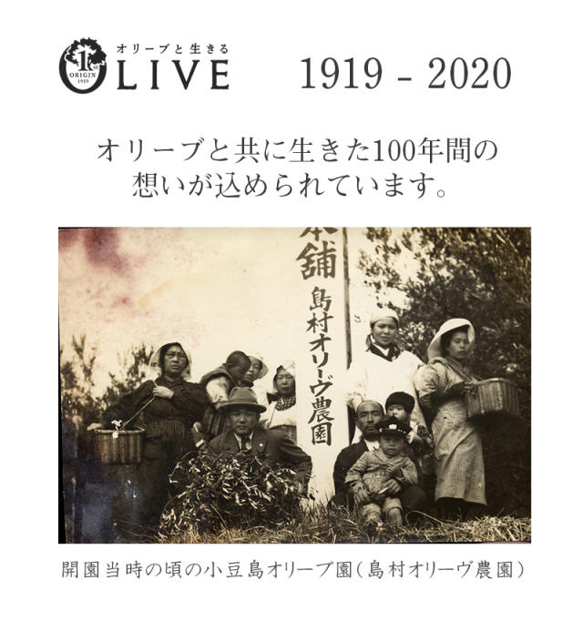 100年オイル せとのめぐみ 小豆島産100% エキストラ バージンオリーブオイル 2020年度