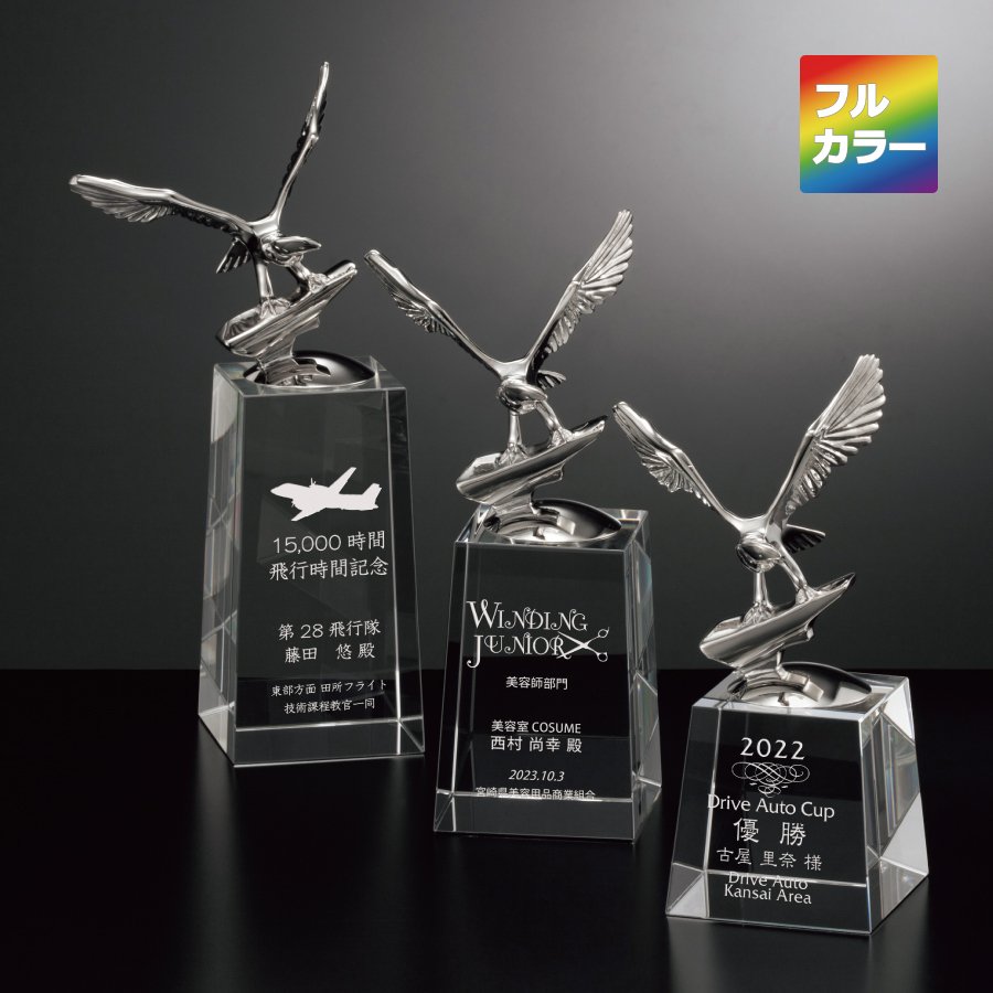 altテキスト,取寄品,3サイズ,5営出荷