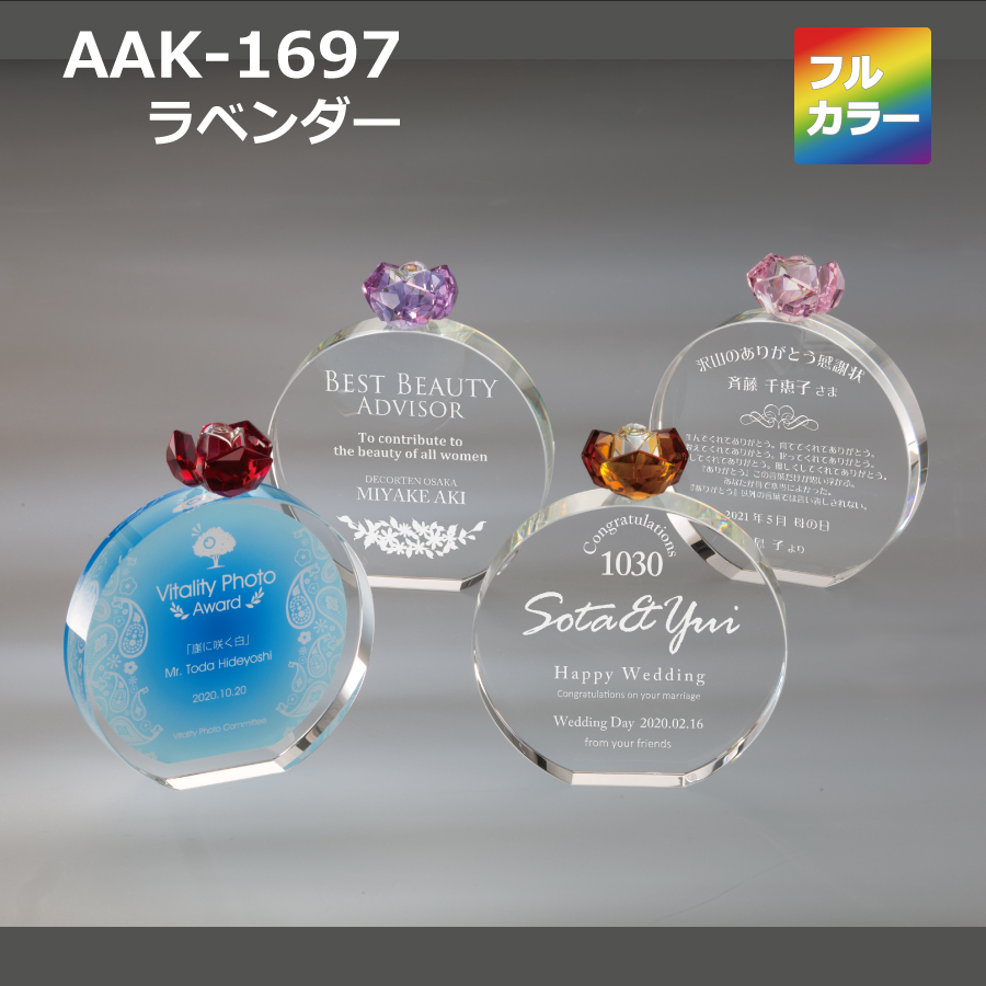 altテキスト,取寄品,ワンサイズ,5営出荷