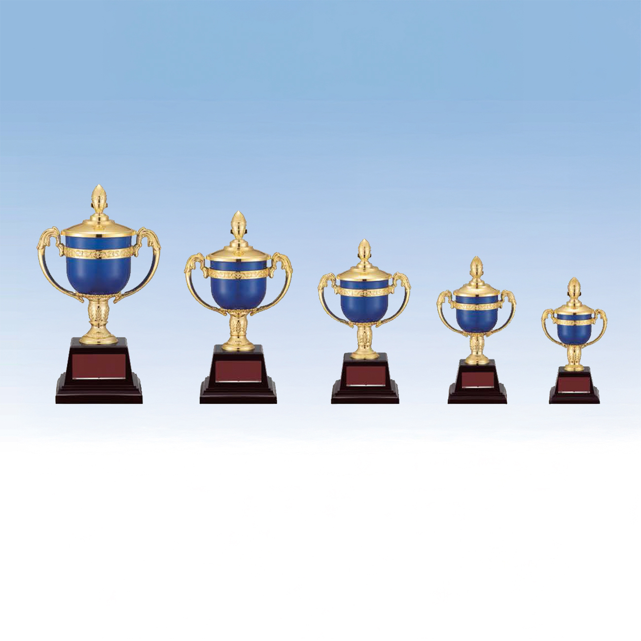 altテキスト,5サイズ,翌営出荷