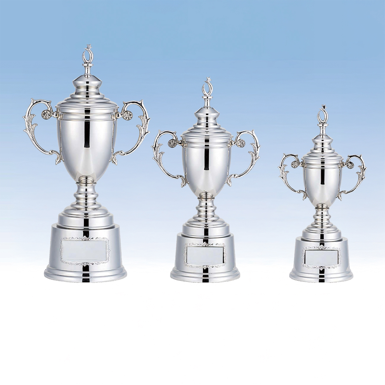 優勝カップ 金属製 LS-309 Aサイズ