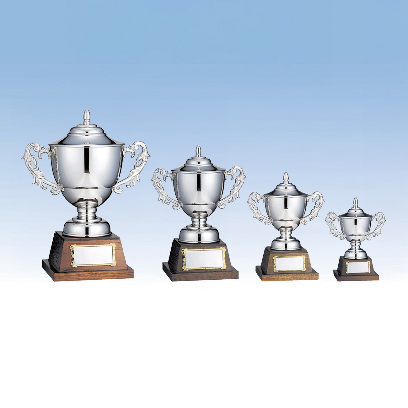 優勝カップ 金属製 LS-346 Dサイズ