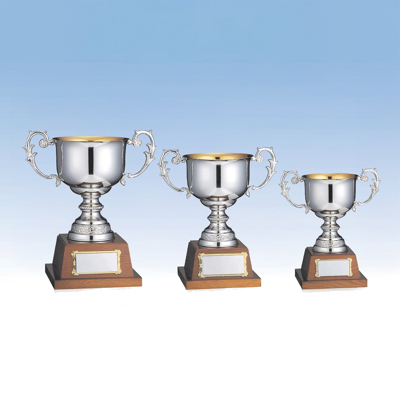 純銀製　トロフィー　優勝カップ 楽天市場】優勝カップ 金銀銅選べる・樹脂製（高さ11cm）CP193