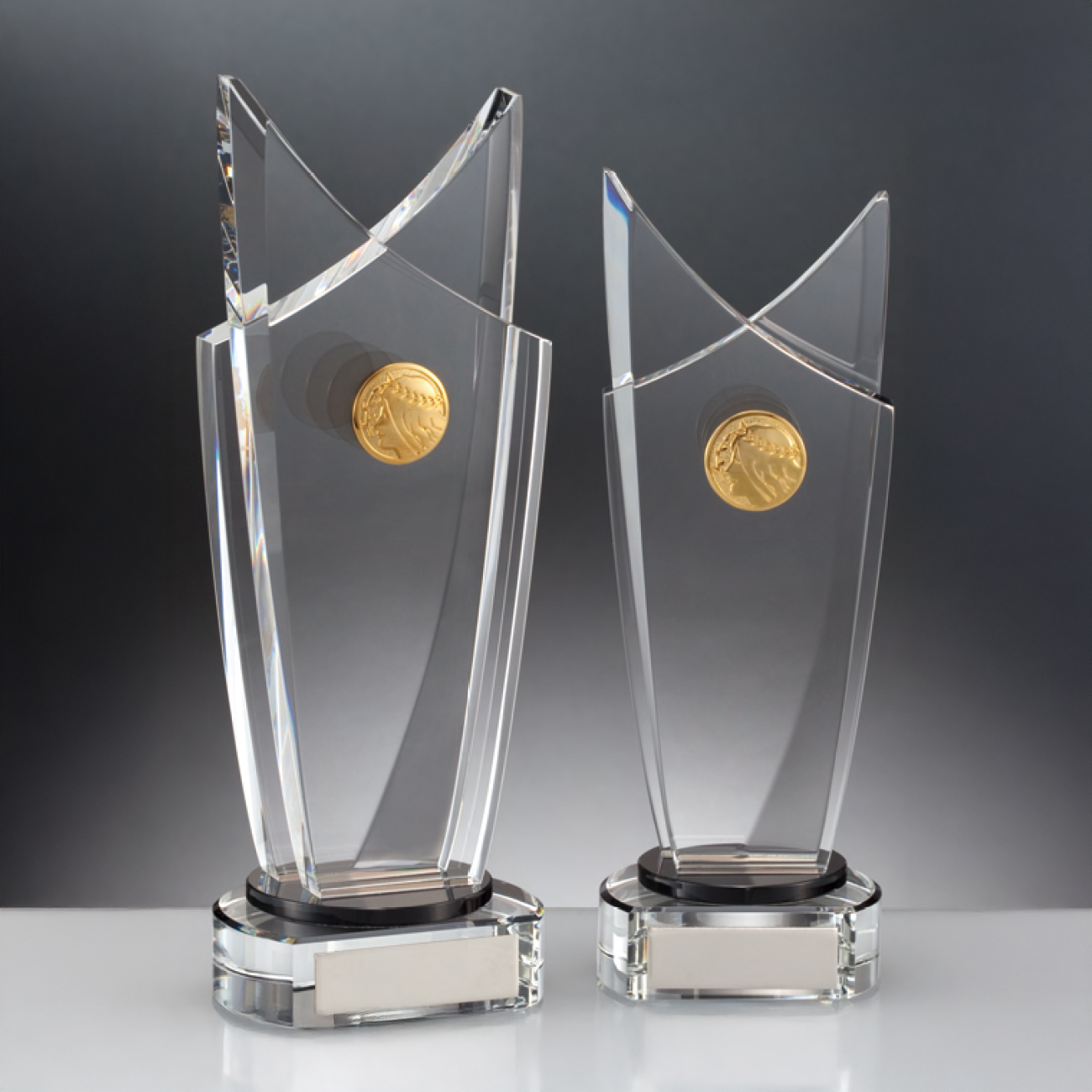 altテキスト,2サイズ,翌営出荷