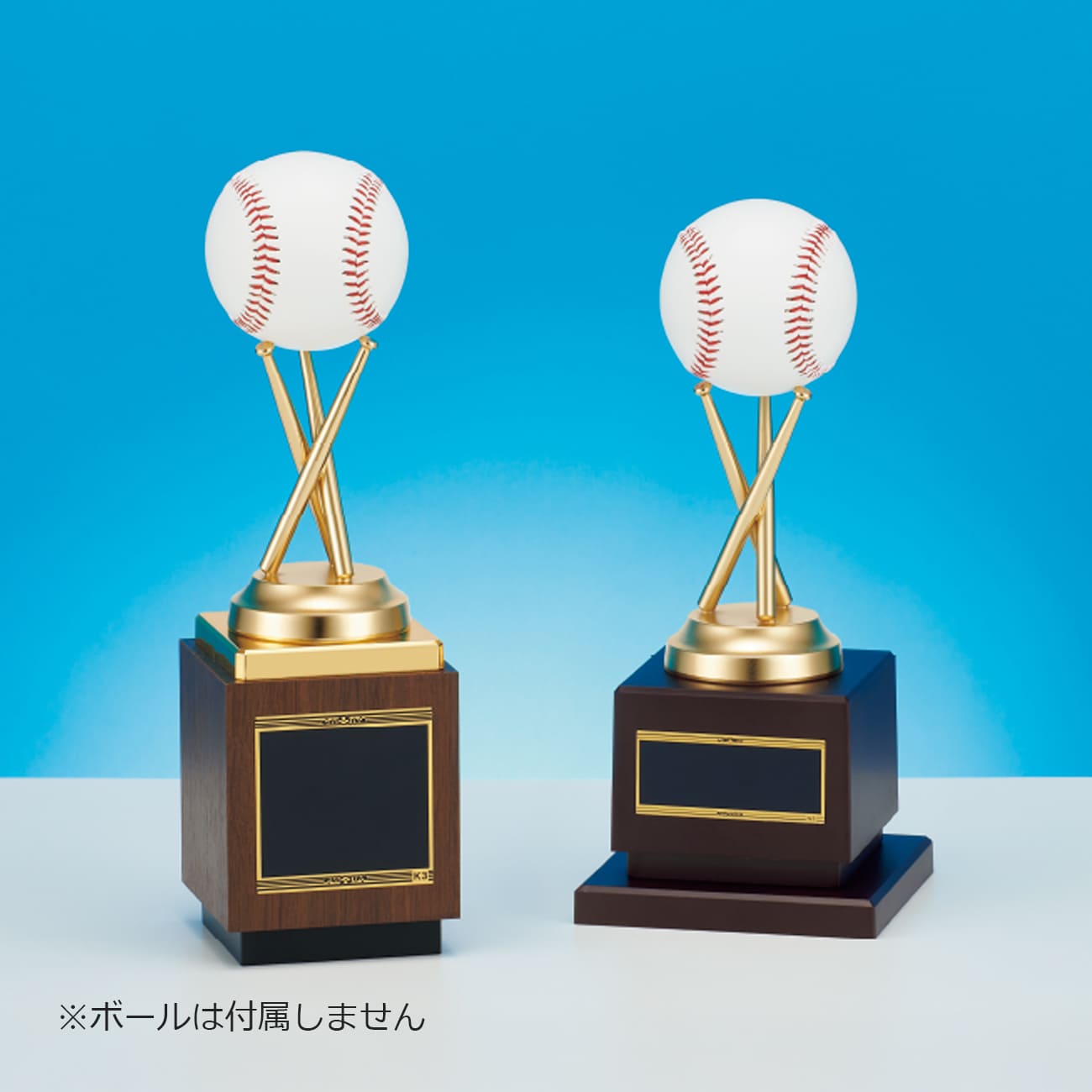 altテキスト,2サイズ,翌営出荷