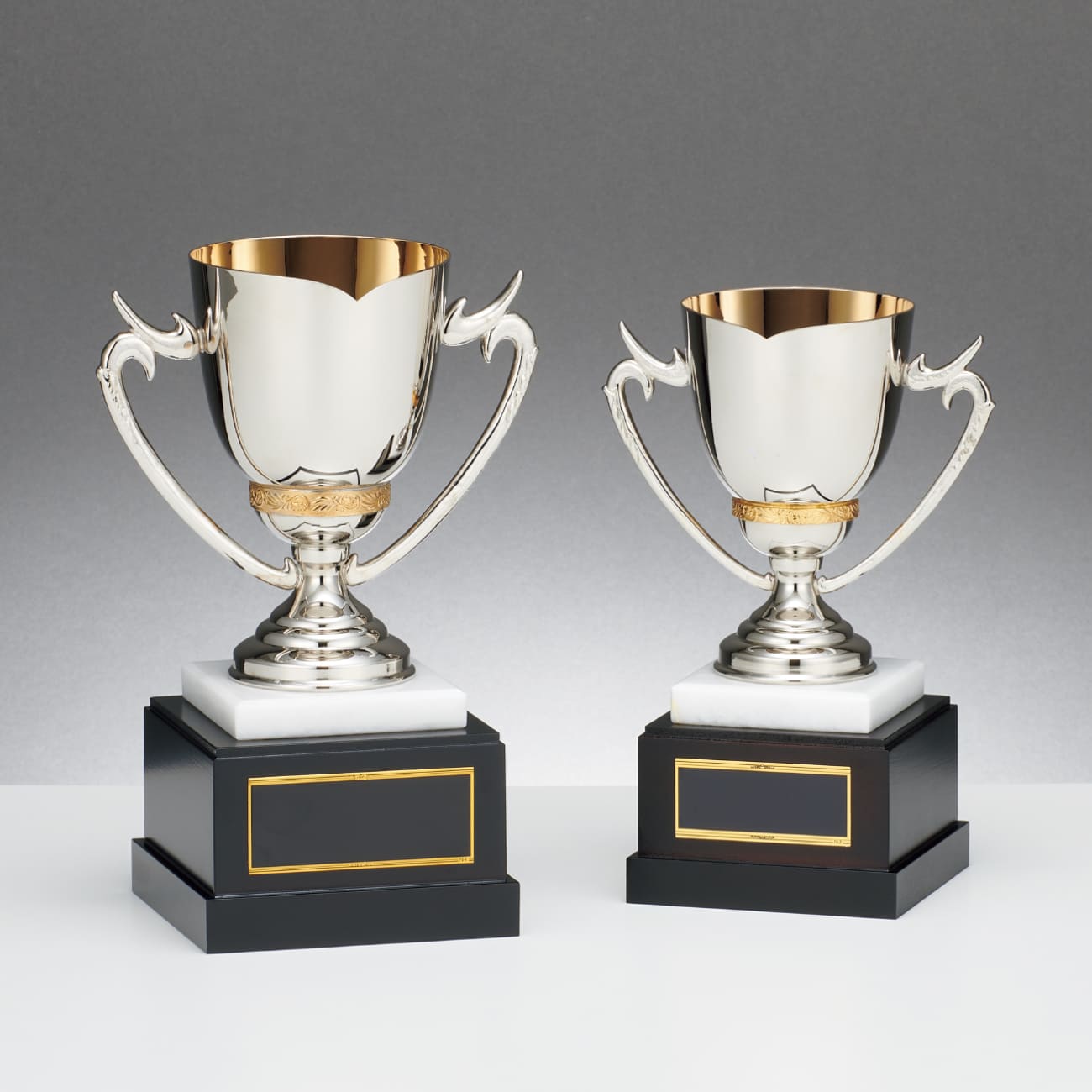 altテキスト,2サイズ,翌営出荷