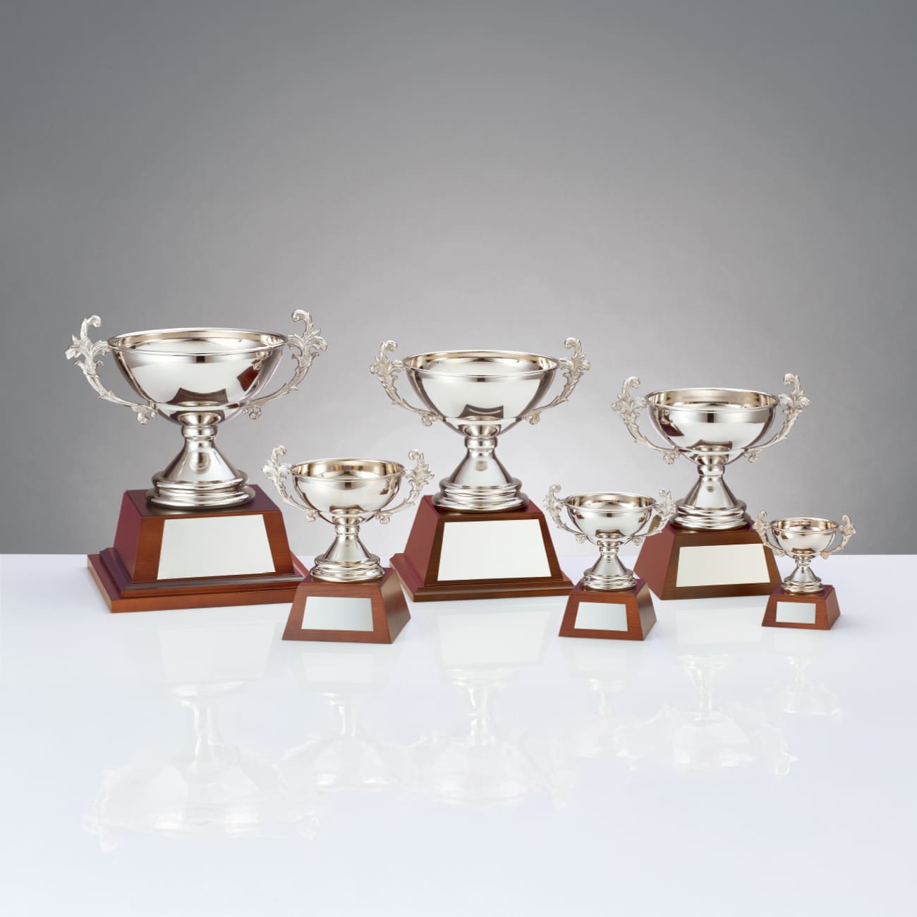 altテキスト,6サイズ,翌営出荷