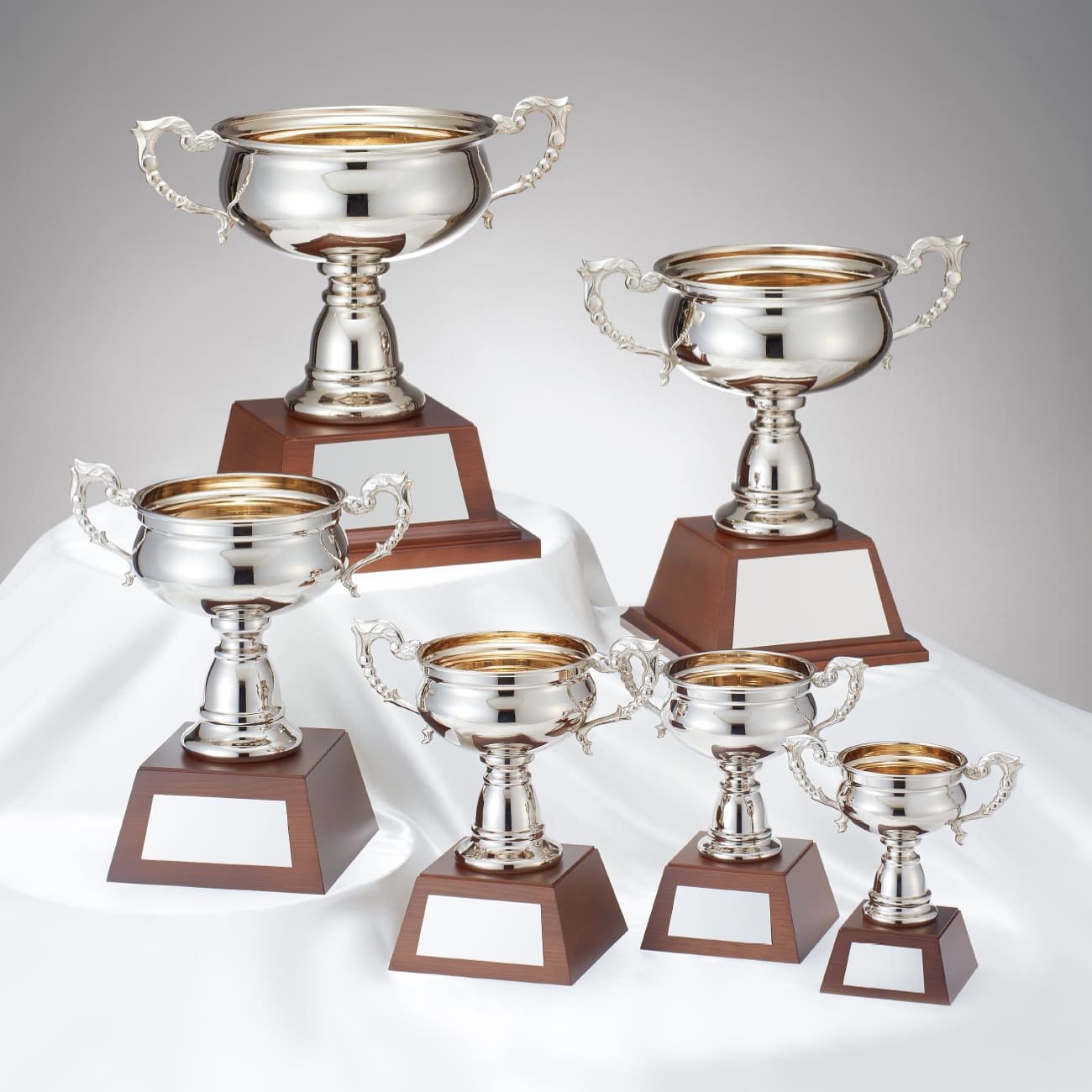 altテキスト,6サイズ,翌営出荷