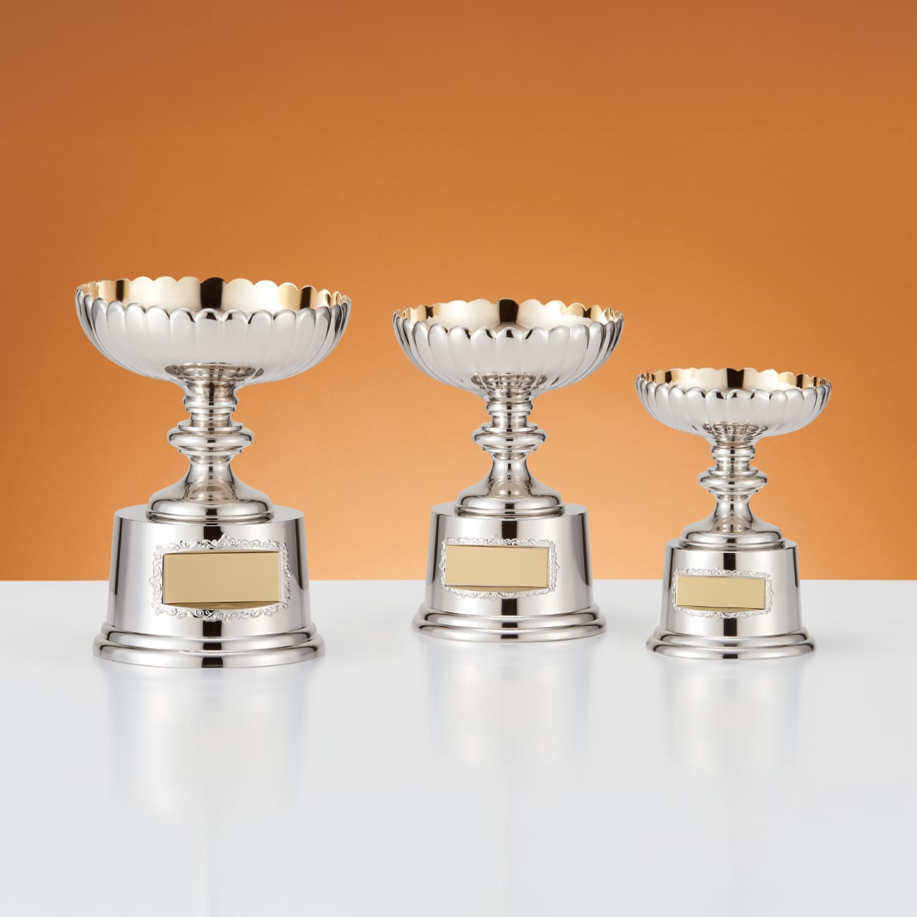 altテキスト,3サイズ,翌営出荷