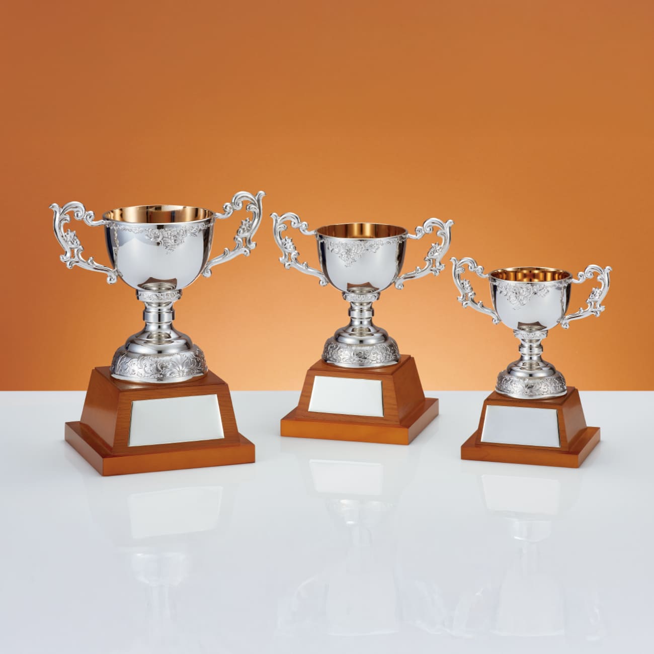 altテキスト,3サイズ,翌営出荷