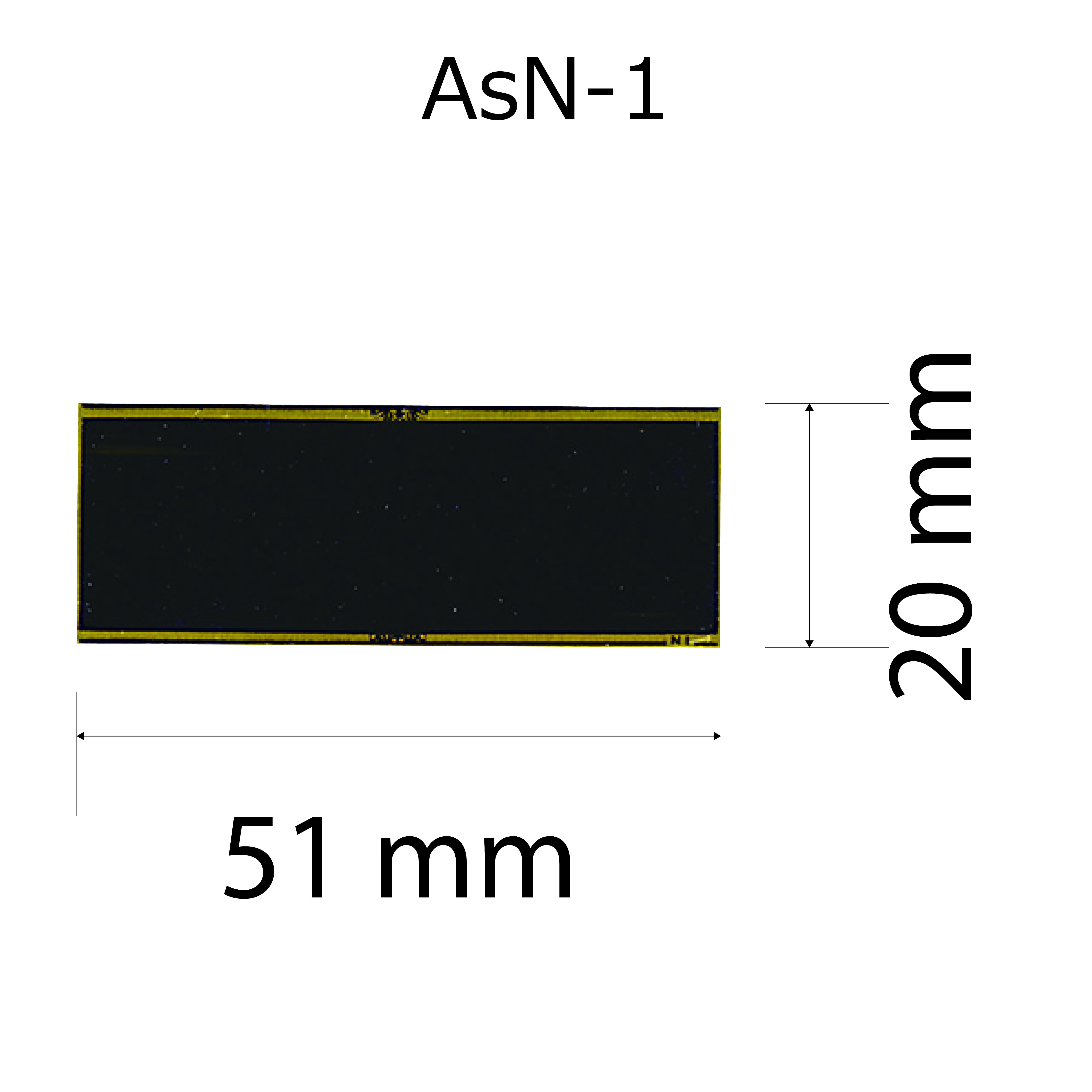 altテキスト,ワンサイズ,翌営出荷