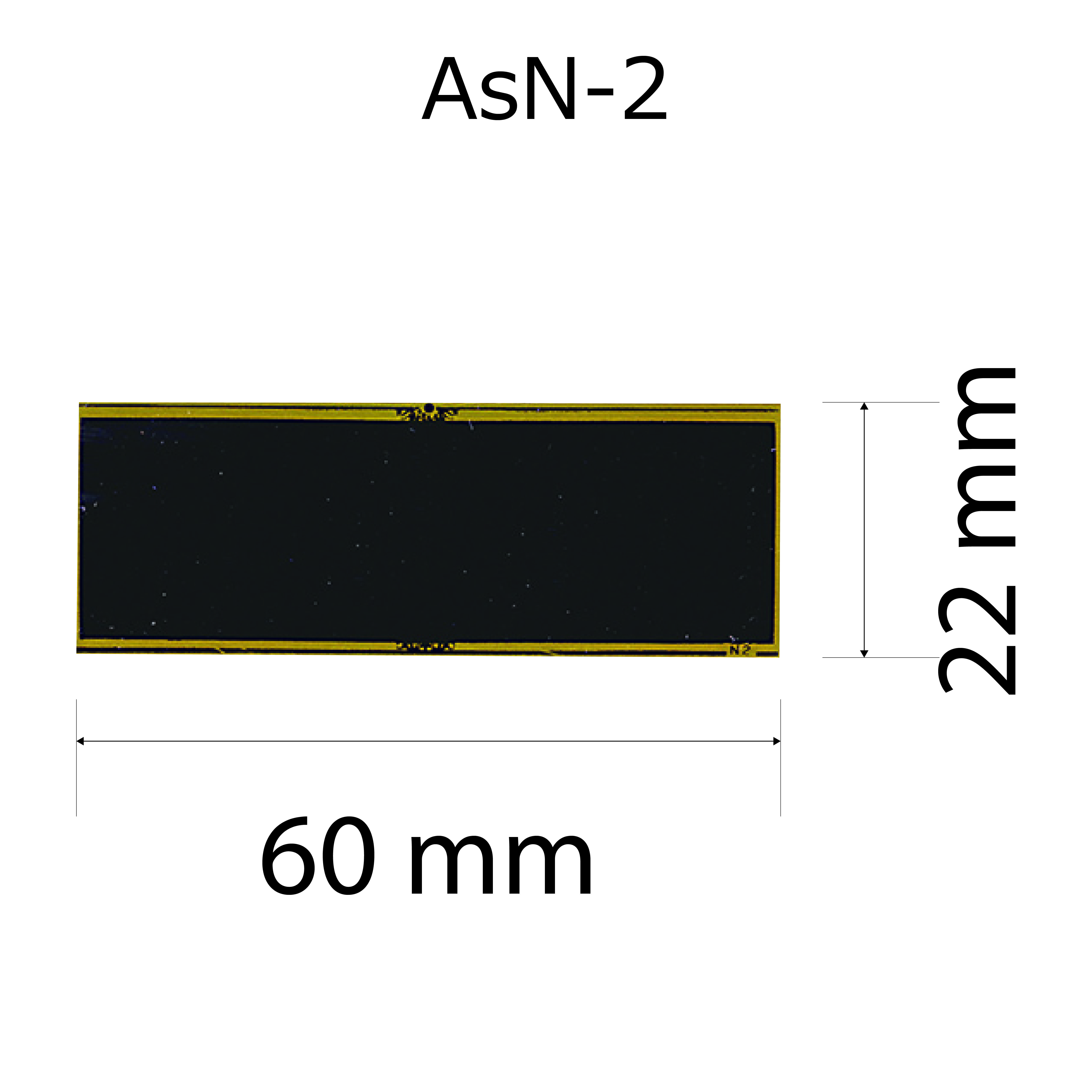 altテキスト,ワンサイズ,翌営出荷