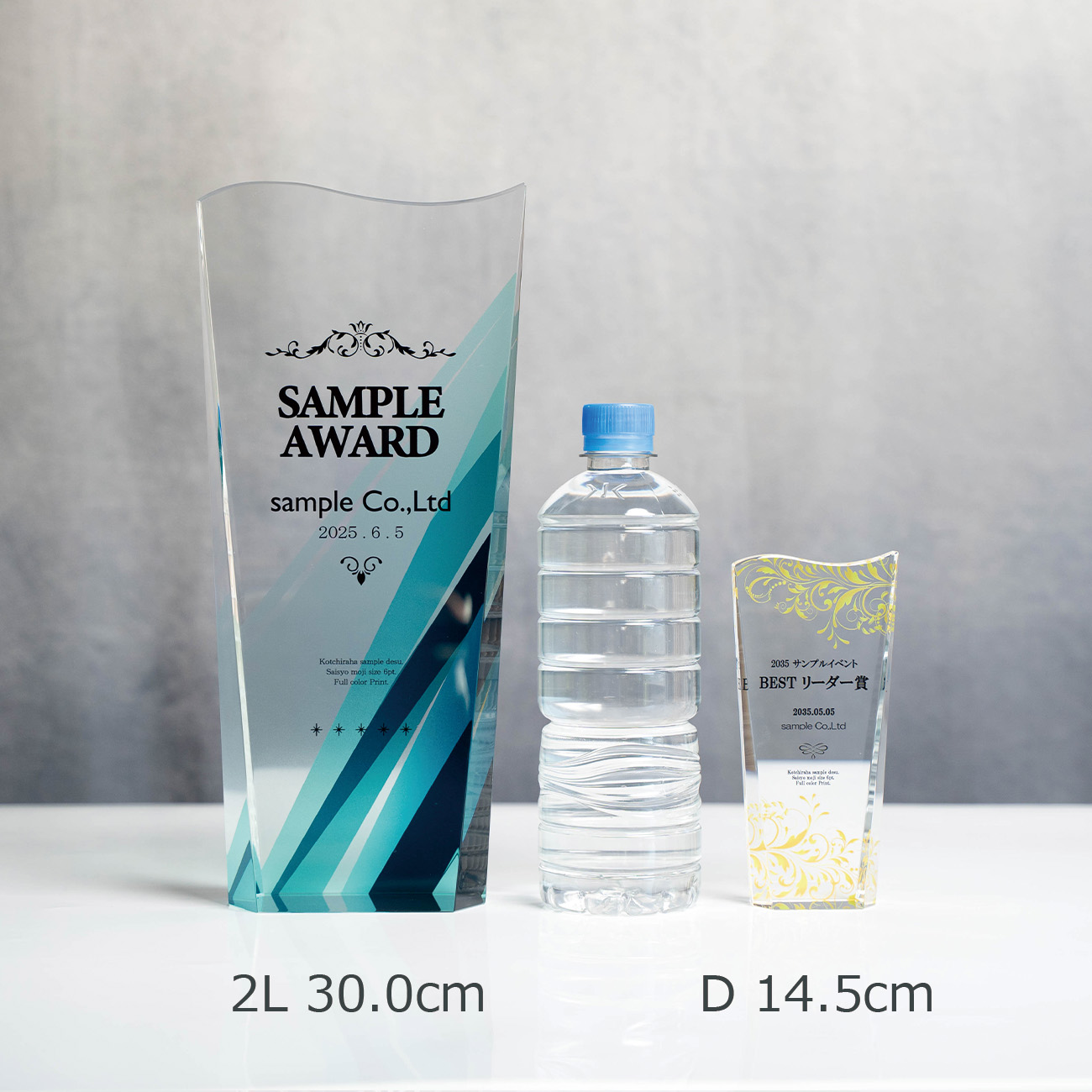 クリスタルトロフィー フルカラー印刷《XC-C-0192_Cサイズ》(高さ