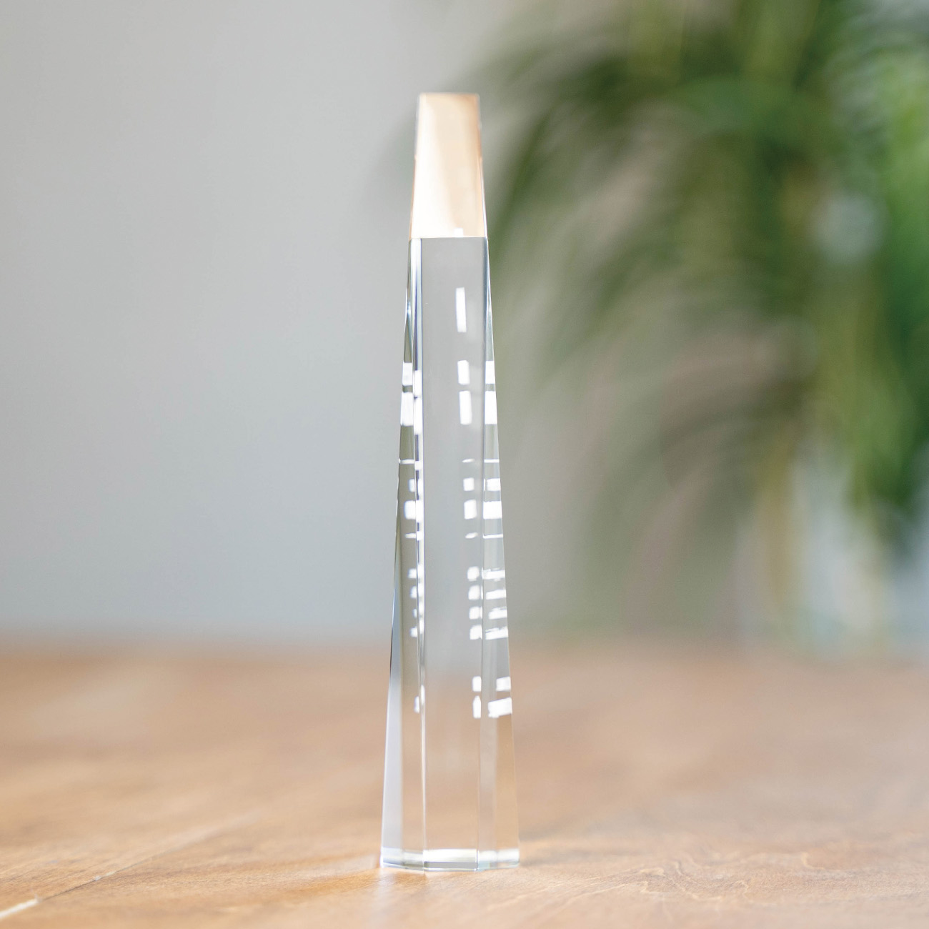 クリスタルトロフィー 内部レーザー彫刻《XC-L-0193_Aサイズ》(高さ