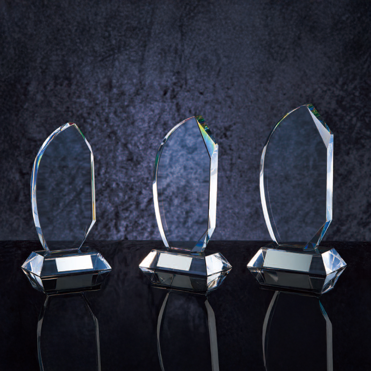 altテキスト,3サイズ,翌営出荷