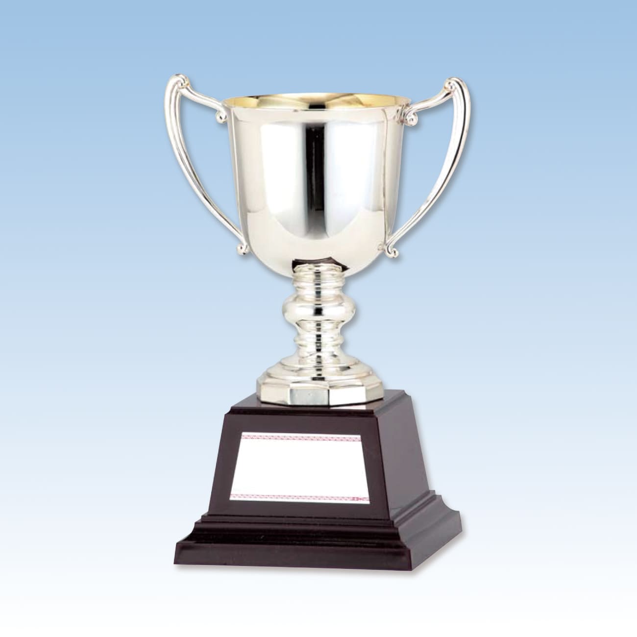 ヴァイスプライムカップ優勝賞品 優勝カップ 金属製 GA-320 Aサイズ