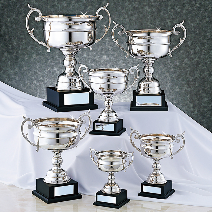 WBMA 勝者の証　金、銀、銅 WBMA 勝者の証 金、銀、銅 優勝カップ 樹脂製ゴールドカップ