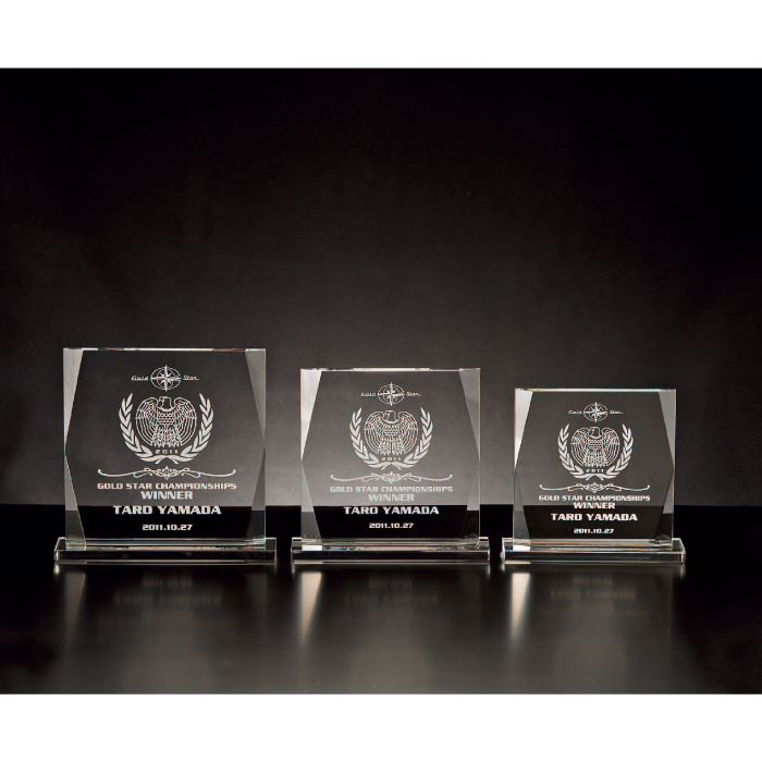 クリスタルトロフィー サンドブラスト彫刻 PJ-302 Bサイズ