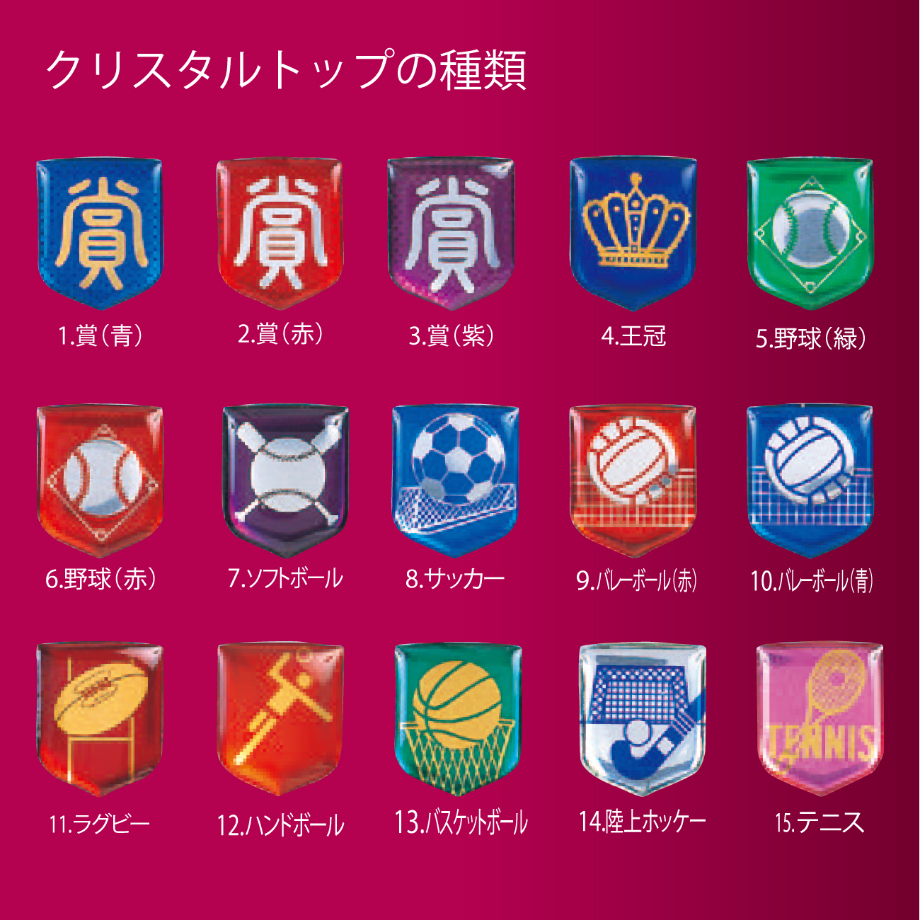 クリスタルトロフィー 85種目から選べる X-584 Aサイズ
