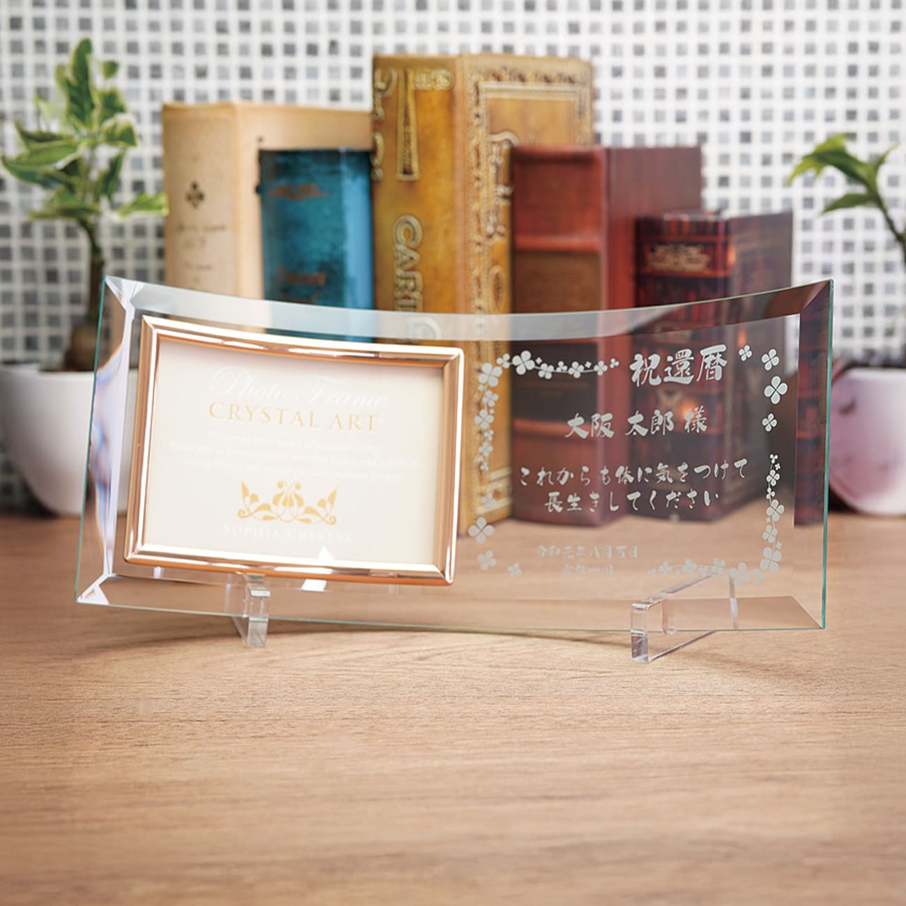 altテキスト,取寄品,ワンサイズ,15営出荷