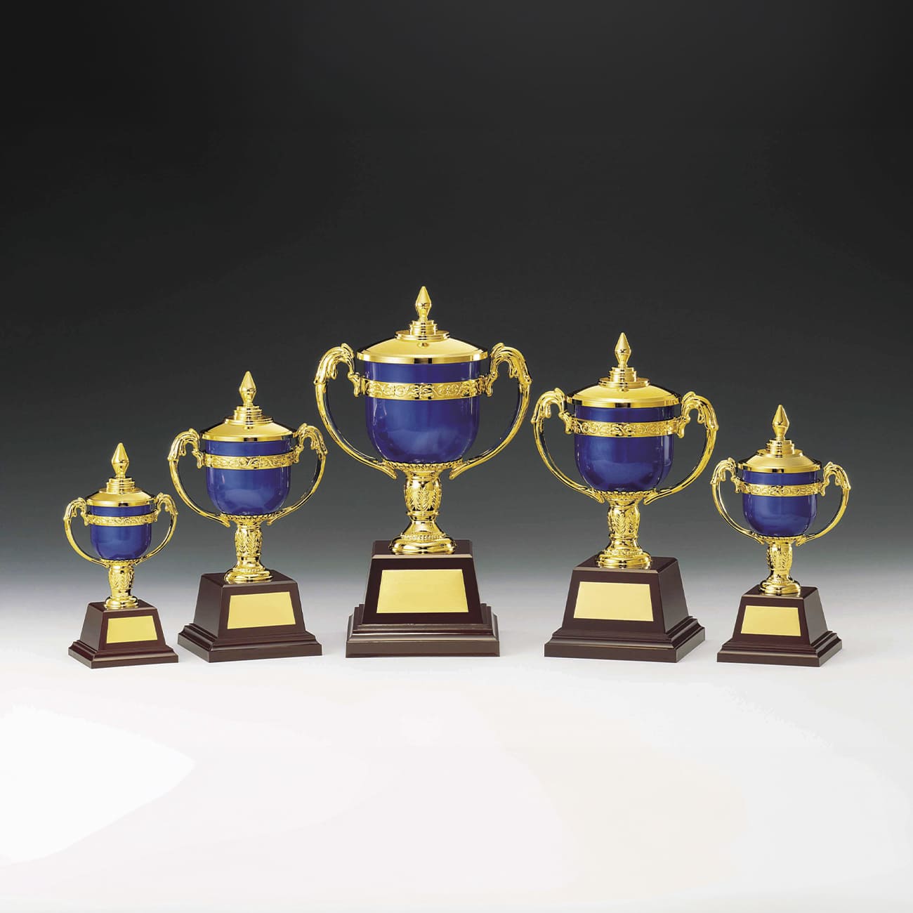 altテキスト,5サイズ,翌営出荷