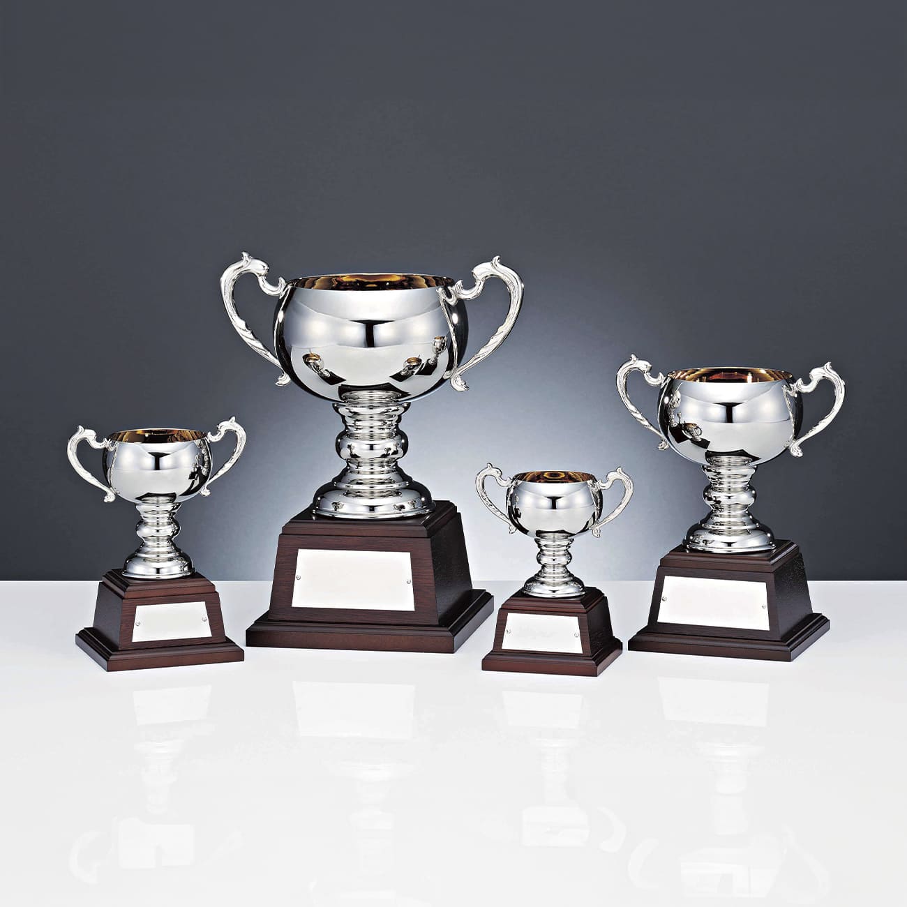 altテキスト,4サイズ,翌営出荷