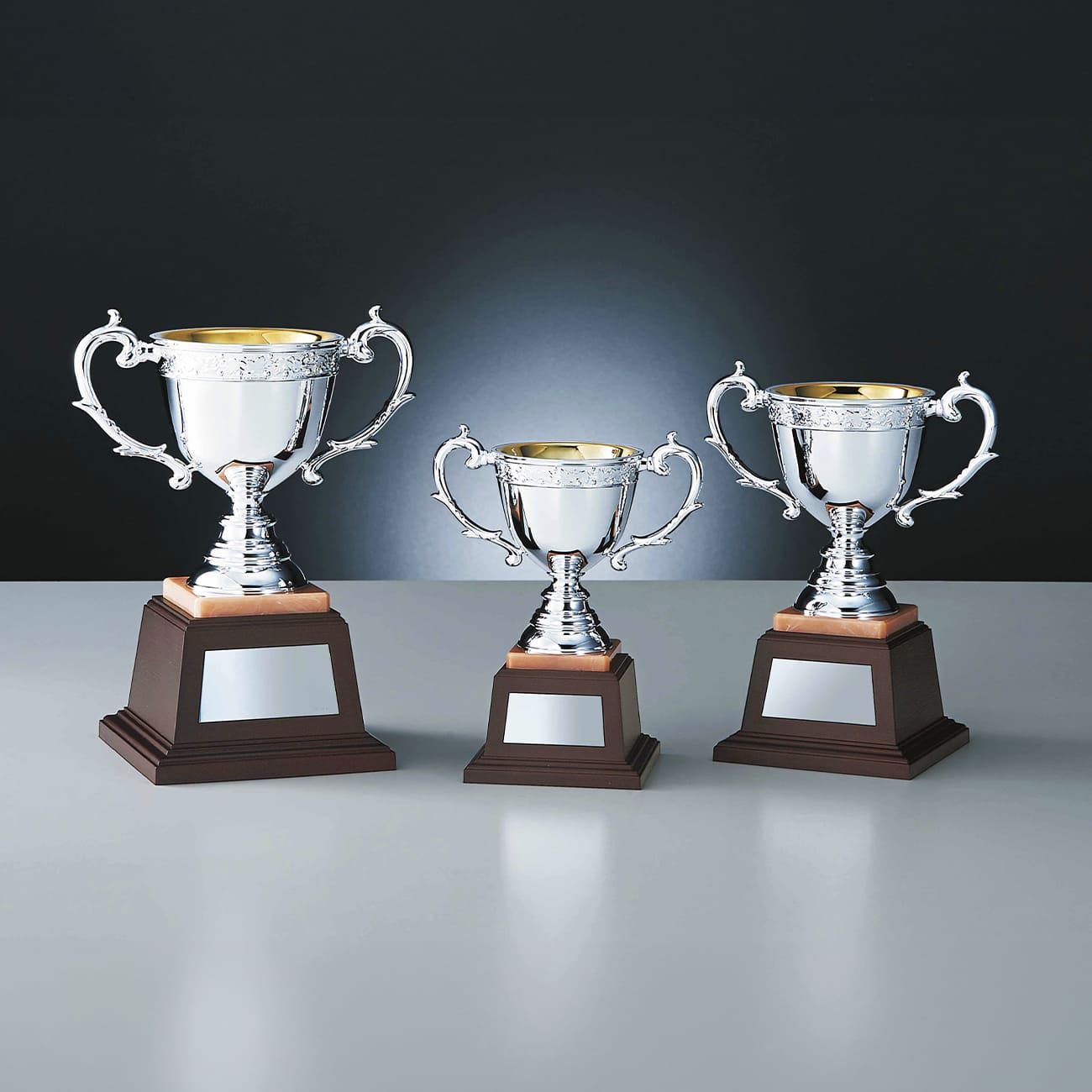 altテキスト,3サイズ,翌営出荷