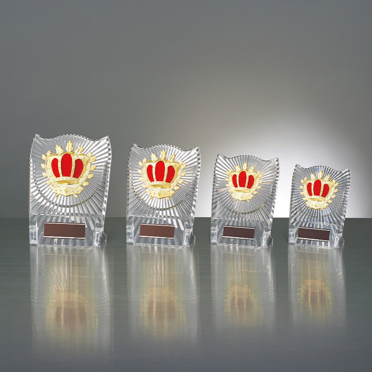 嵐 非売品 盾 楯 v097f.jpg