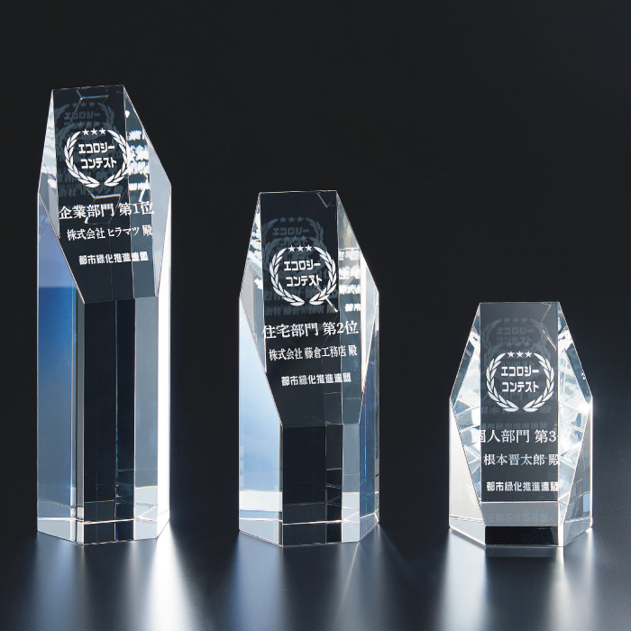 altテキスト,取寄品,3サイズ,10営出荷