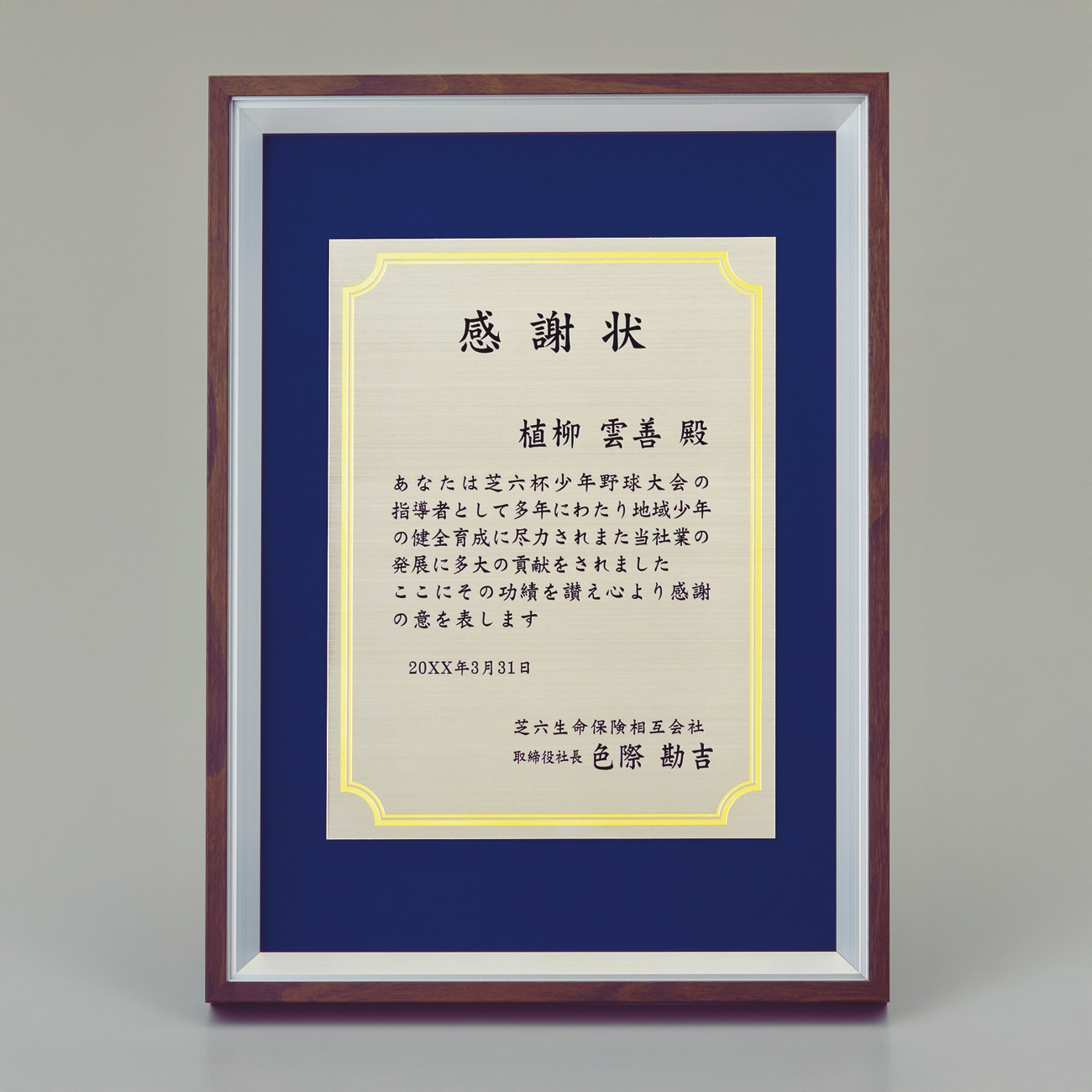 altテキスト,取寄品,ワンサイズ,10営出荷