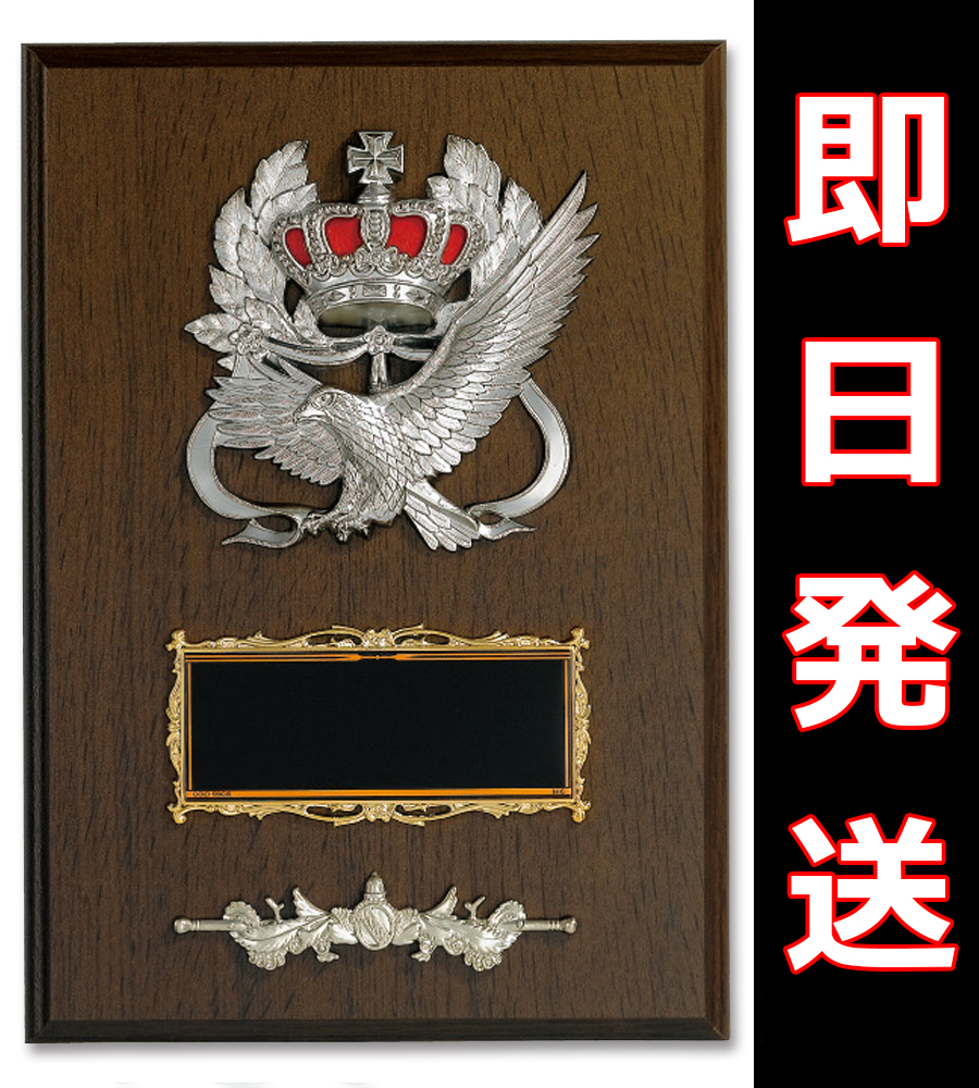 楯