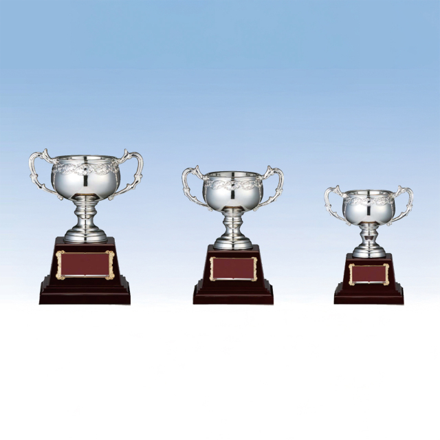 優勝カップ 金属製 FC-146 Cサイズ