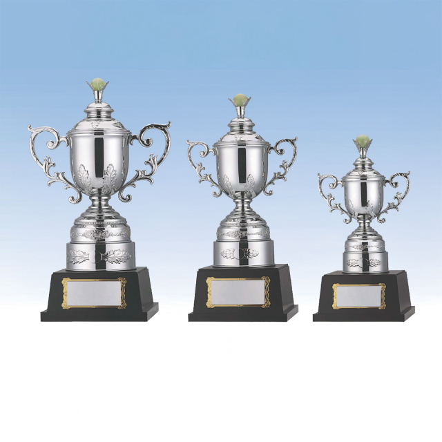 優勝カップ 金属製 LS-363 Aサイズ