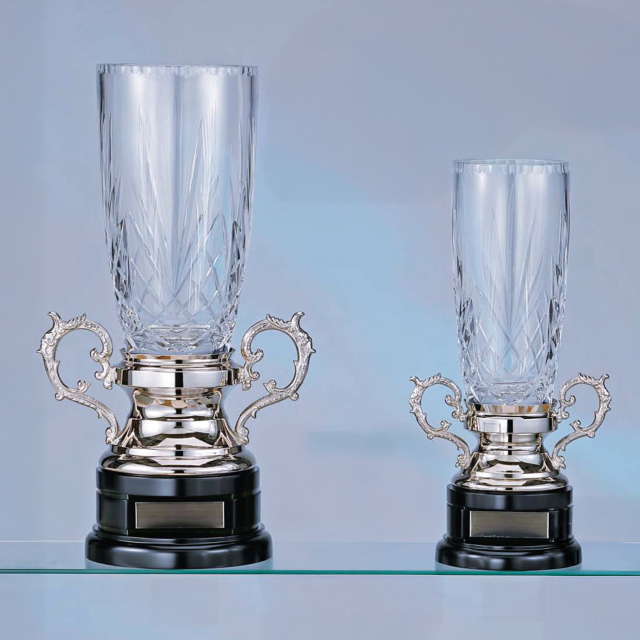 優勝カップ ガラス製 RS-482 Aサイズ