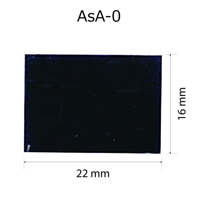 altテキスト,ワンサイズ,翌営出荷