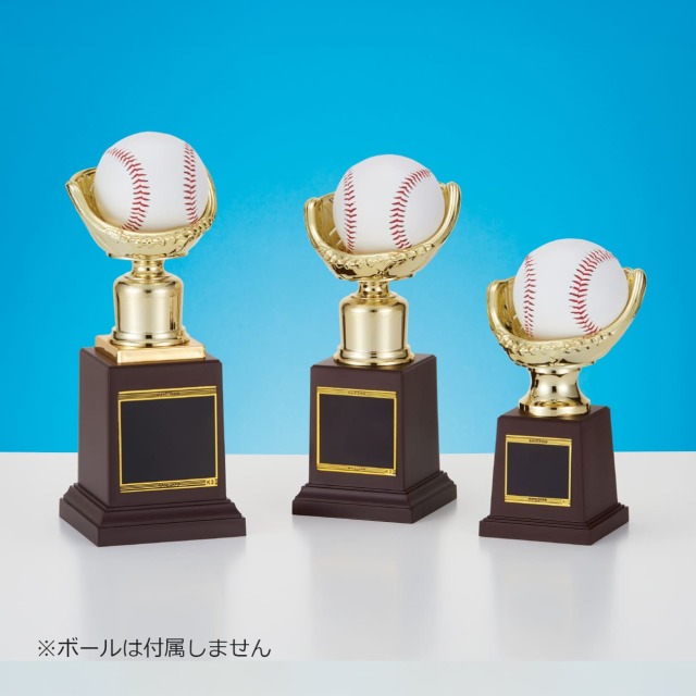 サッカー トロフィー 29-30cm プラスチック製 Amazon | Bxzzuisワールドカップトロフィー、サッカー優勝