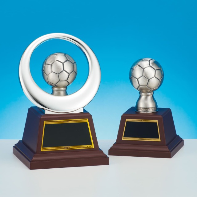 4035冠軍杯 サッカー トロフィー 2020年 imgrc0110895680.gif