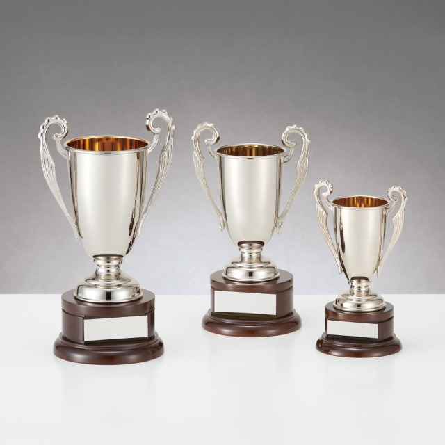 ⁡*⁡様 SILVERトロフィー 優勝カップ 金属製 C1167 Bサイズ