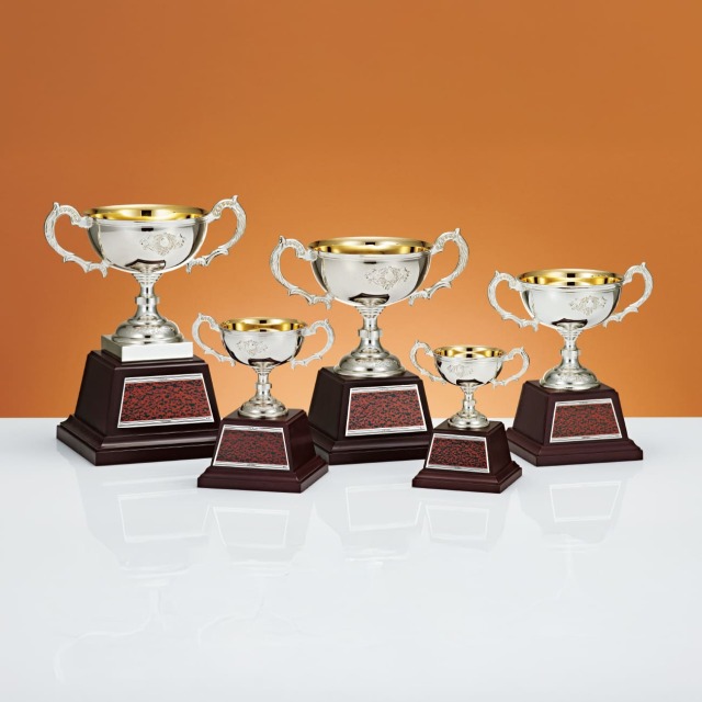 優勝カップ 金属製 EW-1000 Aサイズ