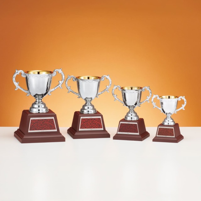 優勝カップ 金属製 C1725 Bサイズ