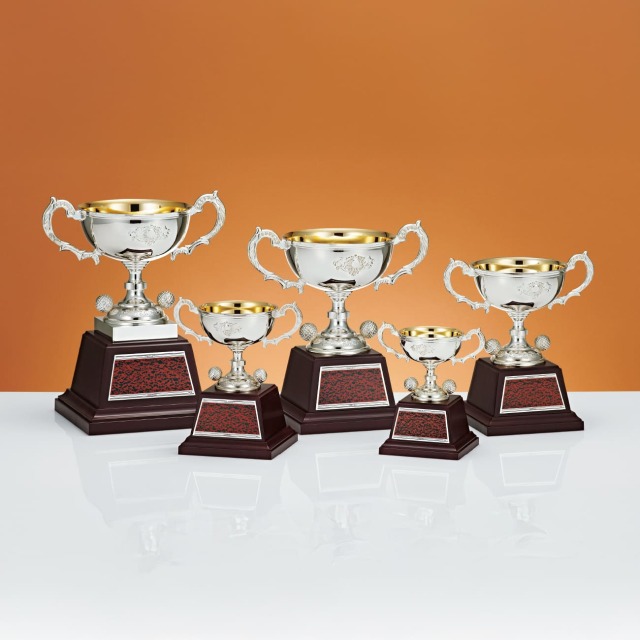 AJPC 優勝トロフィー HobbywingJapan | 【全日本選手権オープンクラス優勝マシン