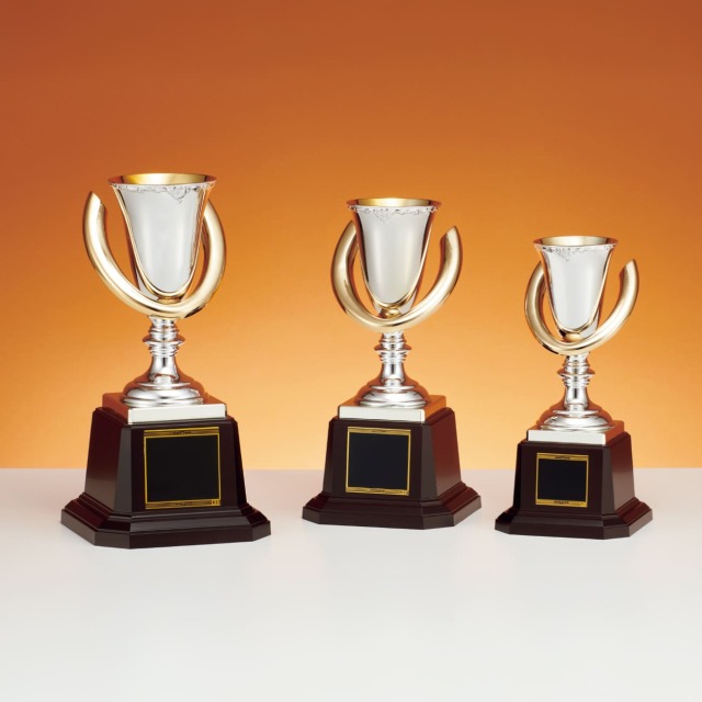 優勝カップ 金属製 C1744 Aサイズ